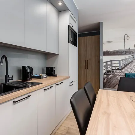 Deo Plaza Vip By Rent Like 3* Gdańsk